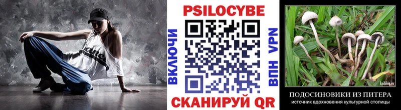 Псилоцибиновые грибы мицелий  ссылка на мегу ONION  Богданович 