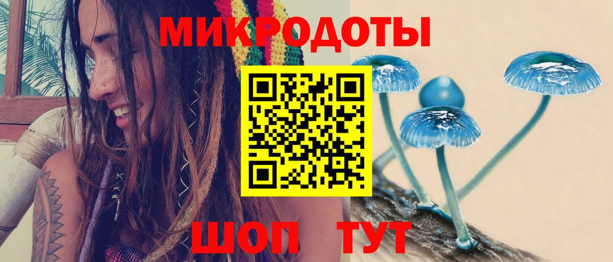 Галлюциногенные грибы MAGIC MUSHROOMS Богданович